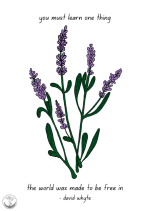Lavender + quote print