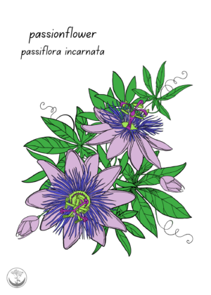 Passionflower print