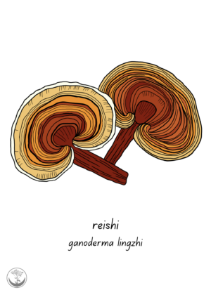 Reishi + quote print