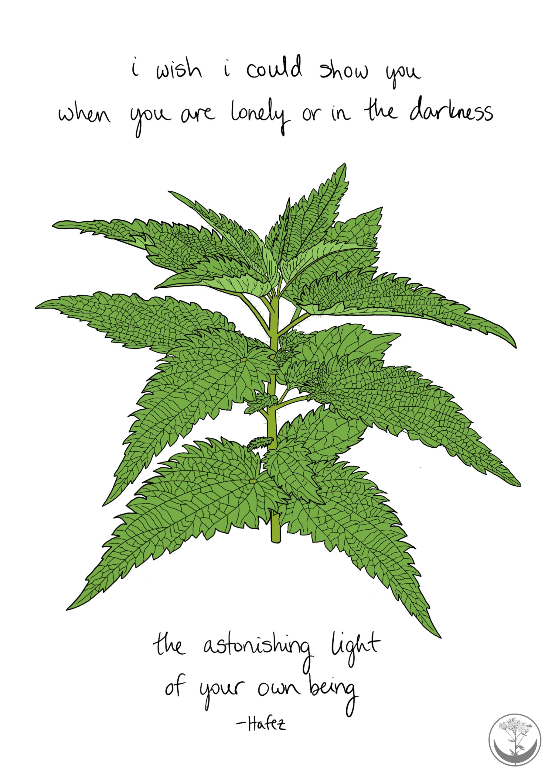 Nettle + quote print